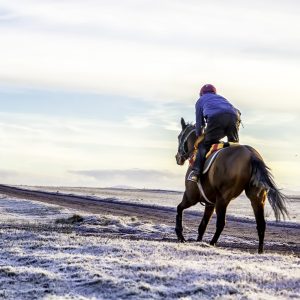 Frosty morning run on the Curragh