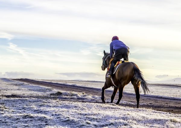 Frosty morning run on the Curragh