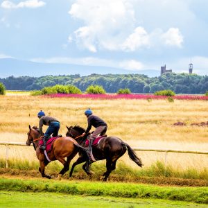 Galloping On The Curragh